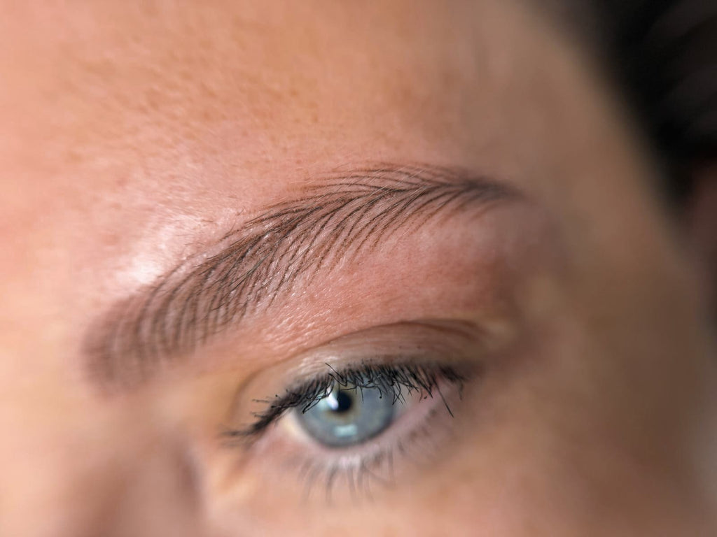 MasterClass: Hyper-realistic hair-by-hair eyebrow initiation