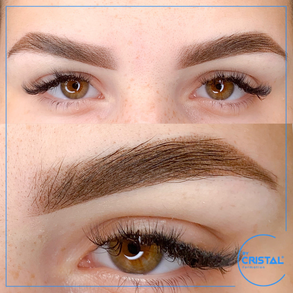 MasterClass initiation Sourcils poudrés ombrés et correction couleur